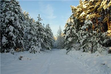 《极限竞速：地平线5》数毛社Xbox版技术测评：表现出色