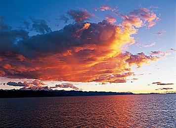 非对称多人恐怖游戏《求死之路》进入抢先体验阶段