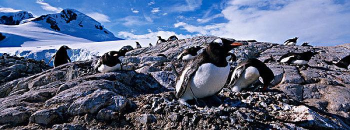 沙盒建造游戏《部落幸存者》试玩Demo发布支持简体中文